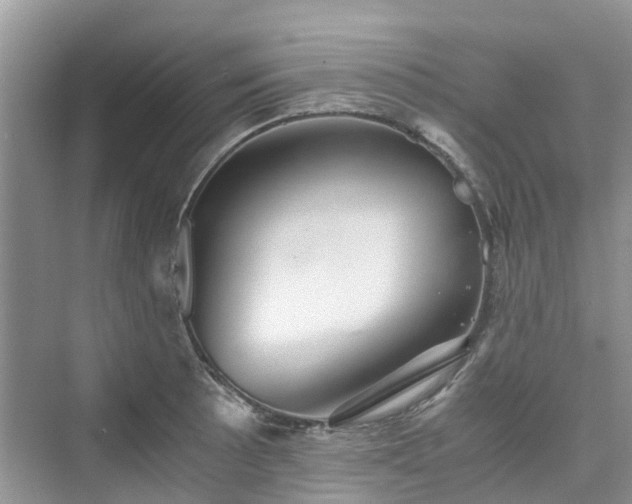 X0000076081089200609291245