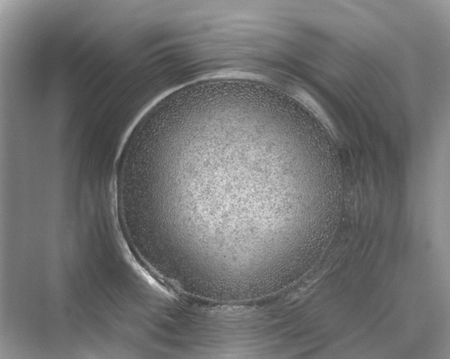 X0000076081092200609291245