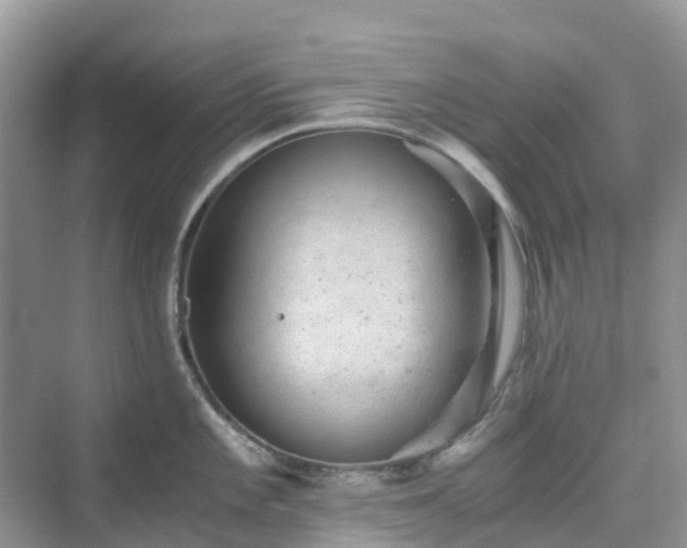 X0000076081101200609291244