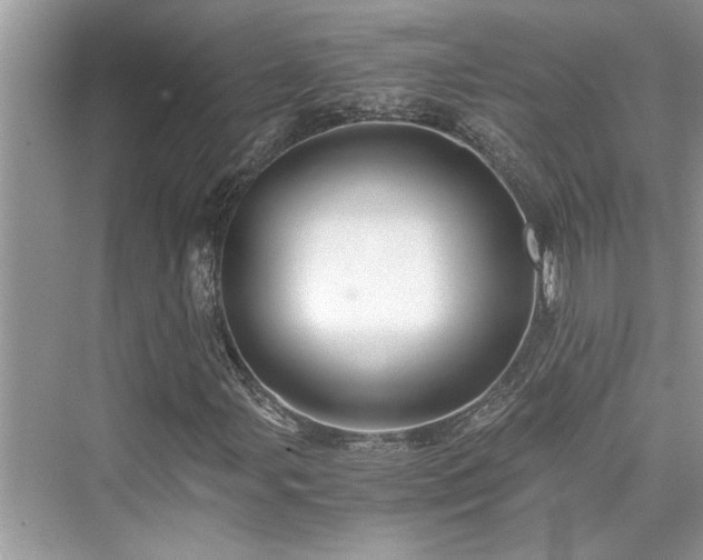 X0000076081107200609291244