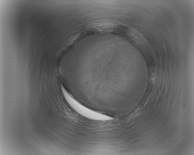 X0000076081108200609291244