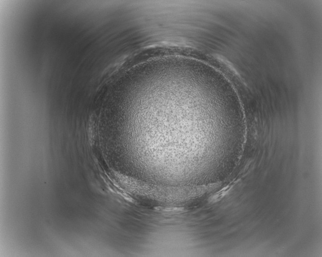 X0000076081110200609291244