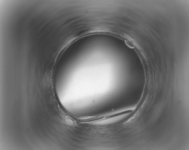 X0000076081137200609291244