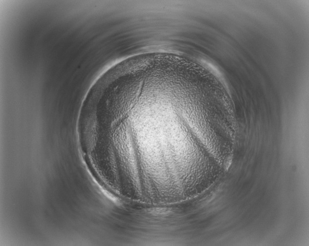 X0000076081141200609291244