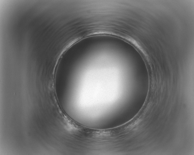 X0000076081145200609291244