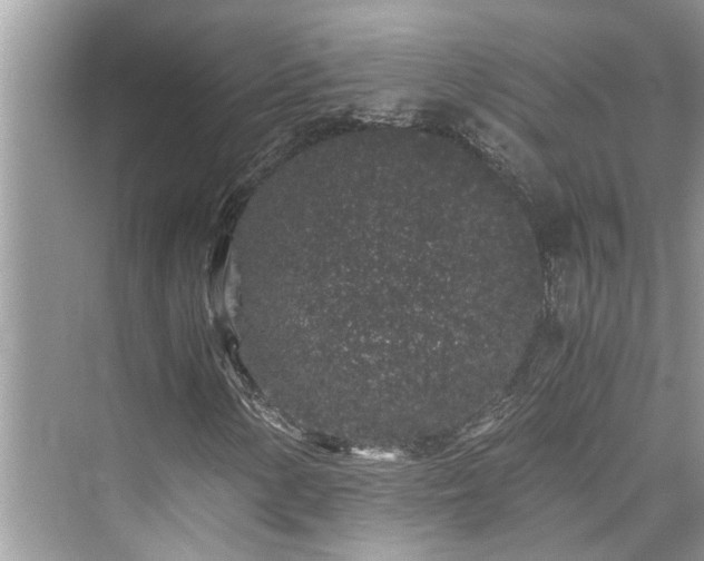 X0000076081154200609291244