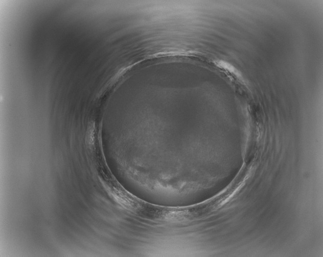 X0000076081161200609291243