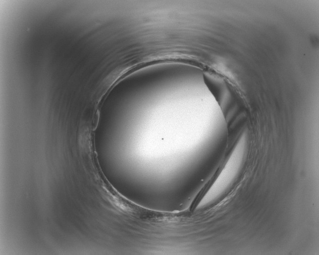 X0000076081177200609291243