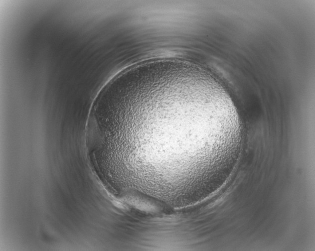 X0000076081178200609291243