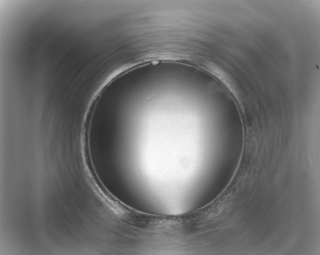X0000076081187200609291243