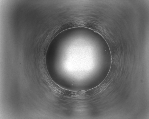 X0000076081201200609291242