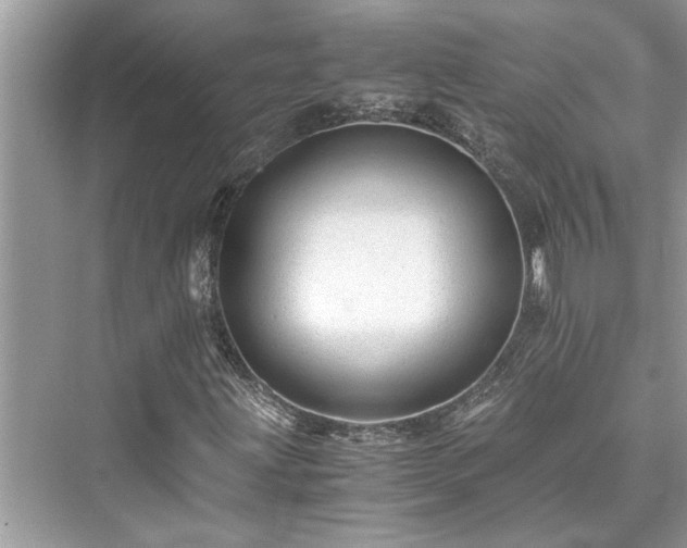 X0000076081203200609291242
