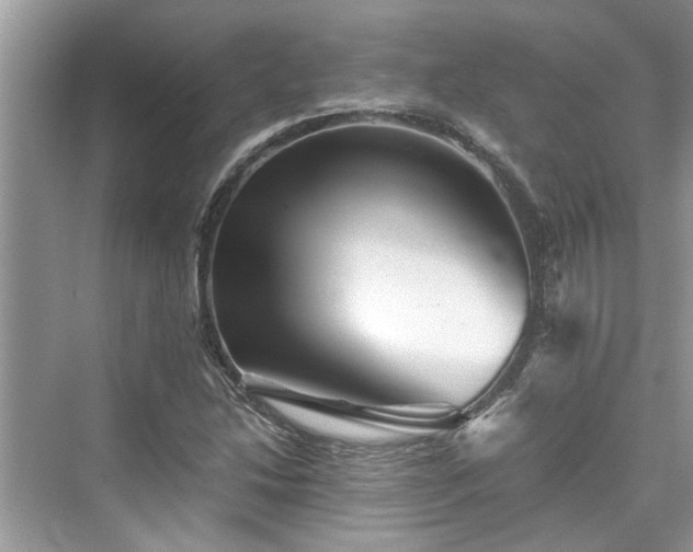 X0000076081214200609291242