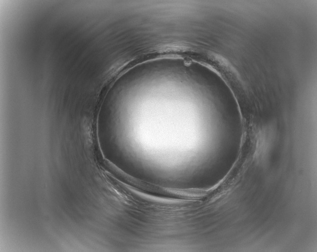 X0000076081217200609291242