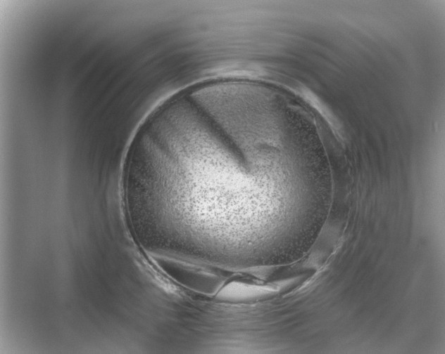 X0000076081240200609291243