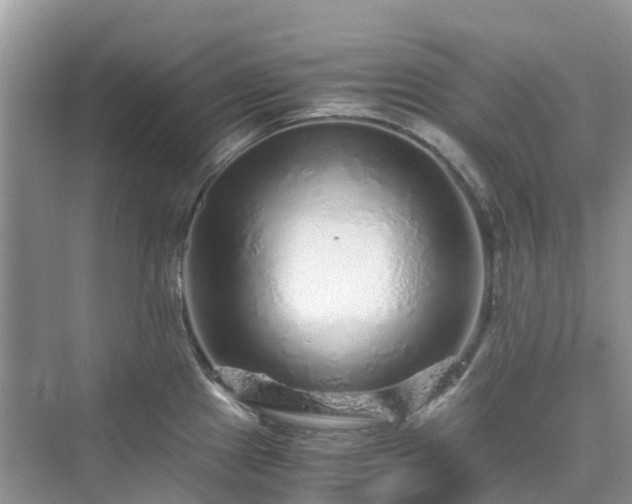 X0000076081241200609291243