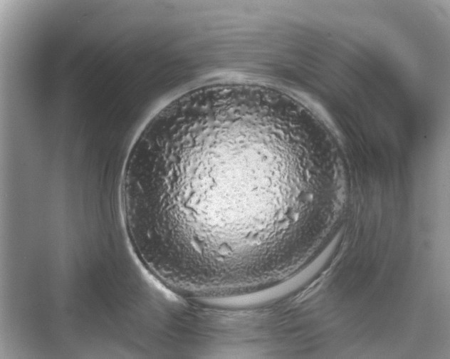 X0000076081247200609291243