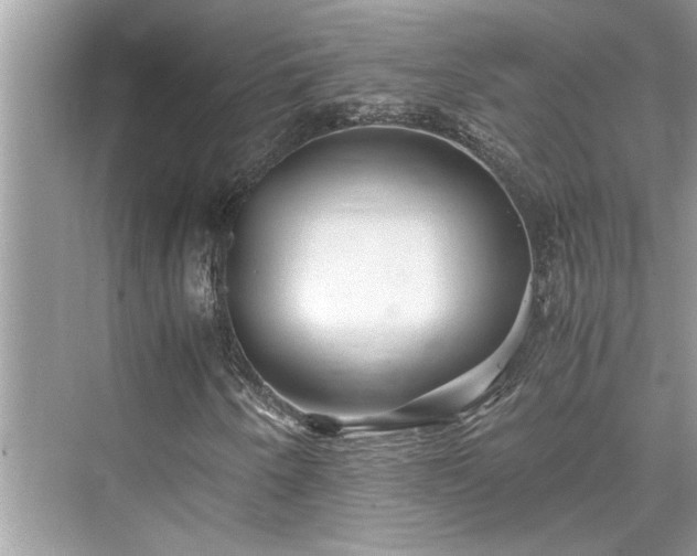 X0000076081250200609291242