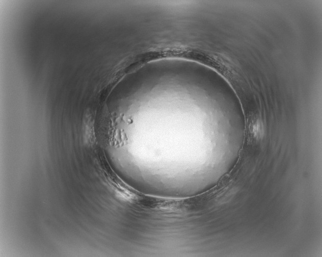 X0000076081252200609291242