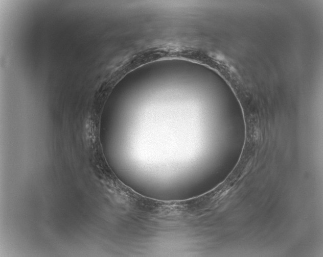 X0000076081253200609291242