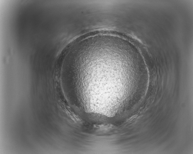 X0000076081255200609291242