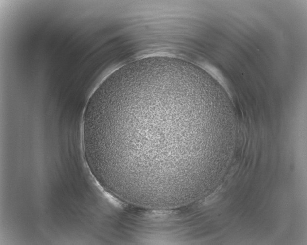 X0000076081290200609291241
