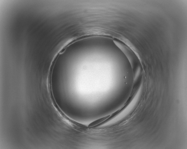 X0000076081293200609291241