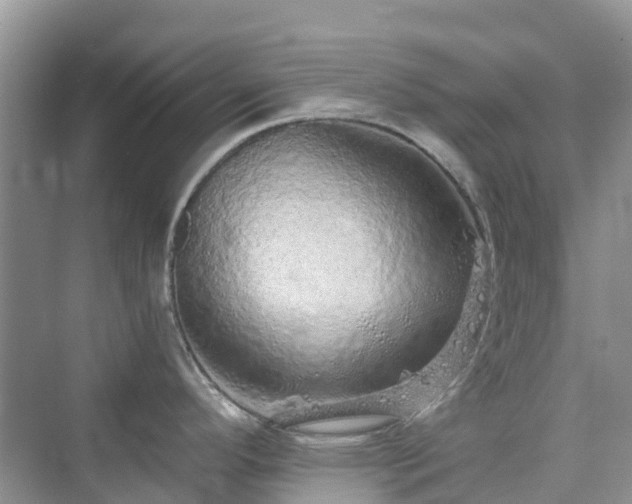 X0000076081296200609291241
