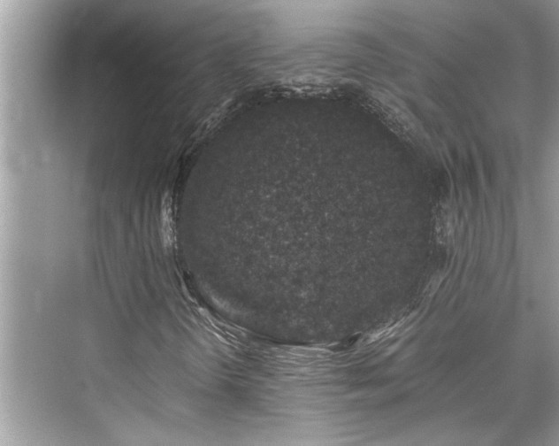 X0000076081298200609291240