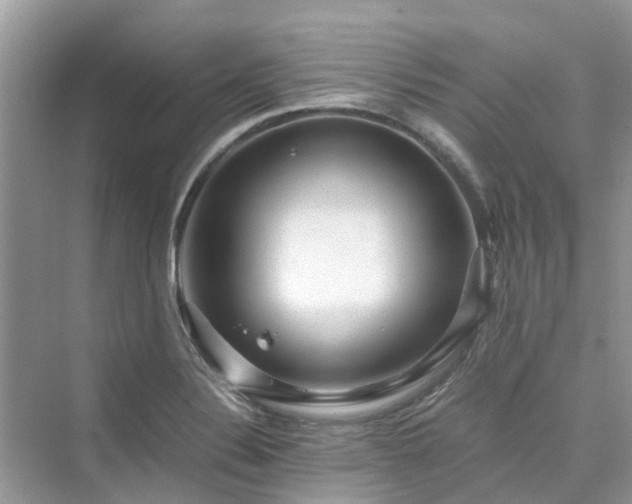 X0000076081324200609291241