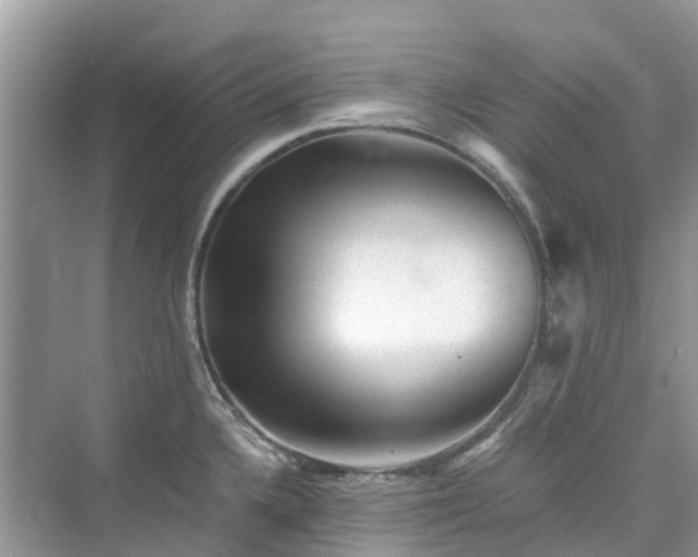 X0000076081336200609291241