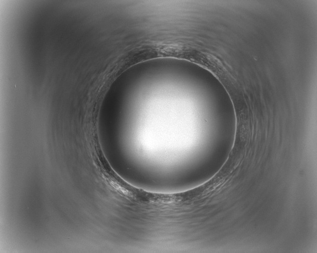 X0000076081345200609291240