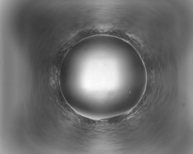 X0000076081349200609291240