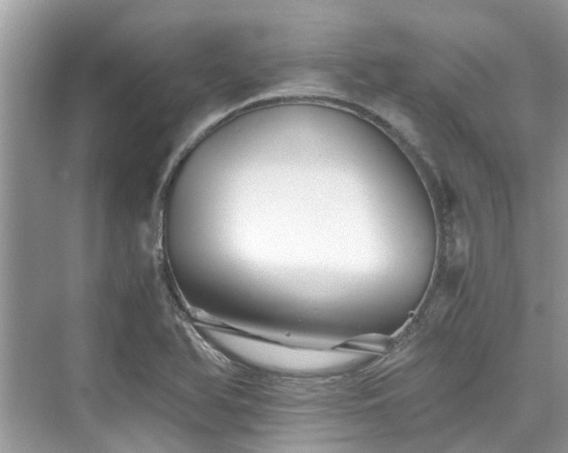 X0000076081366200609291240