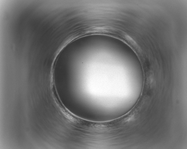X0000076081370200609291240