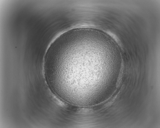 X0000076081374200609291240