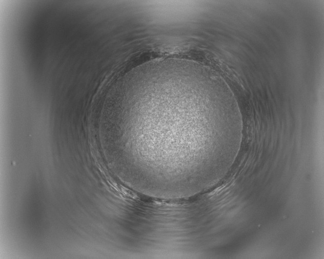 X0000076081393200609291239