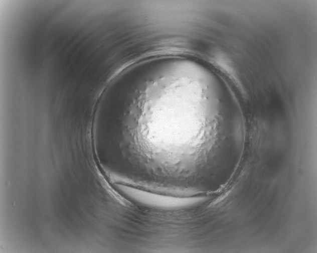 X0000076081417200609291239