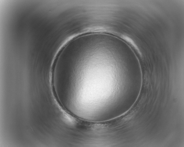 X0000076081424200609291239