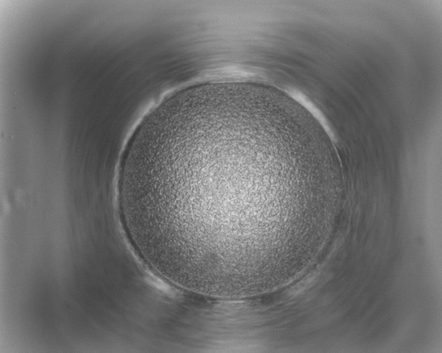 X0000076081477200609291238