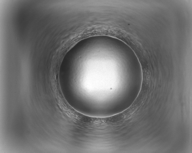 X0000076081489200609291237