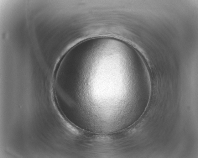 X0000076081525200609291238