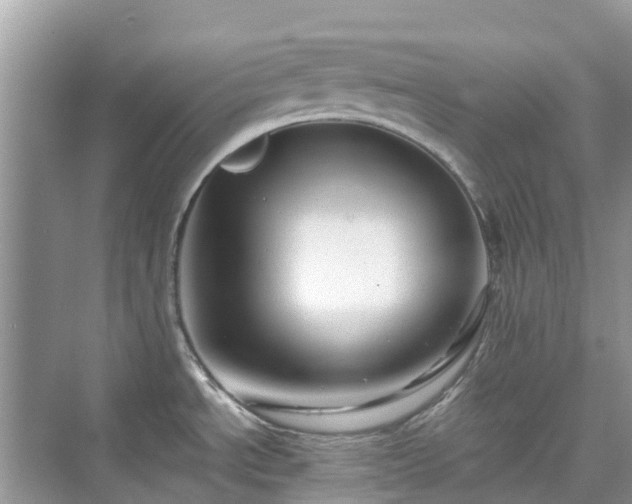 X0000076081534200609291238
