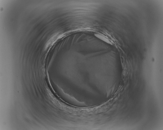 X0000076080002200610061628