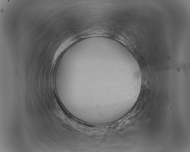 X0000076080004200610061628