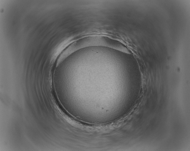 X0000076080005200610061628