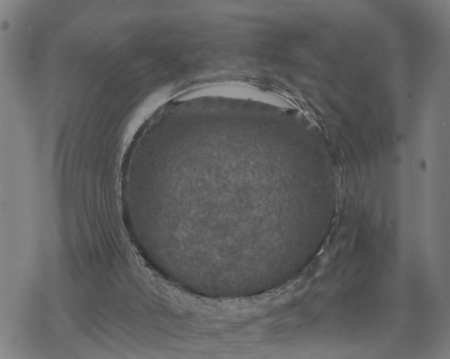 X0000076080006200610061628