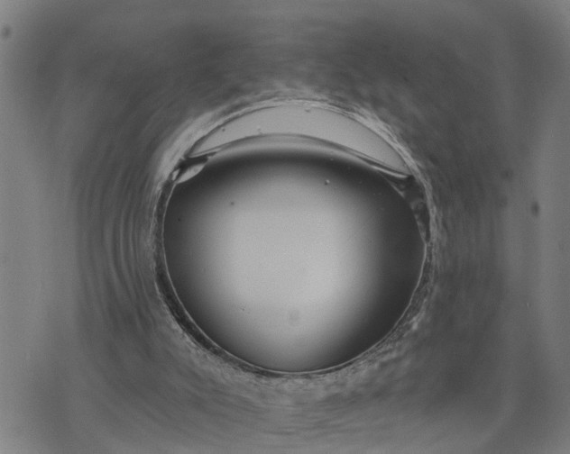 X0000076080007200610061628