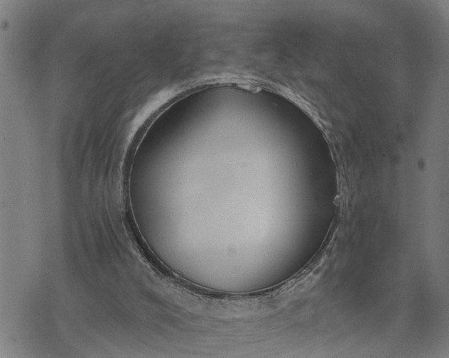 X0000076080008200610061627