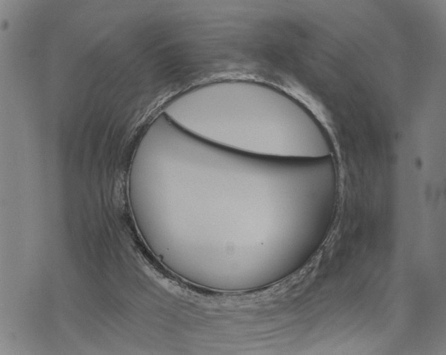 X0000076080009200610061627